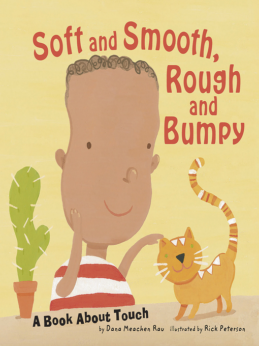 Cover image for Soft and Smooth, Rough and Bumpy